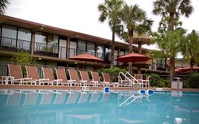 Magic Tree Resort